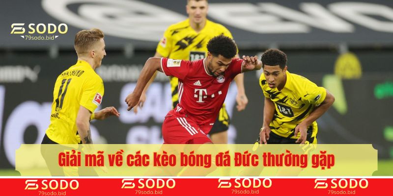 Giải mã về các kèo bóng đá Đức thường gặp